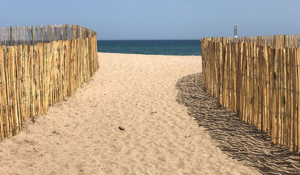 Recuperaci i protecci de sistemes dunars al Parc Natural dels Aiguamolls de lEmpord